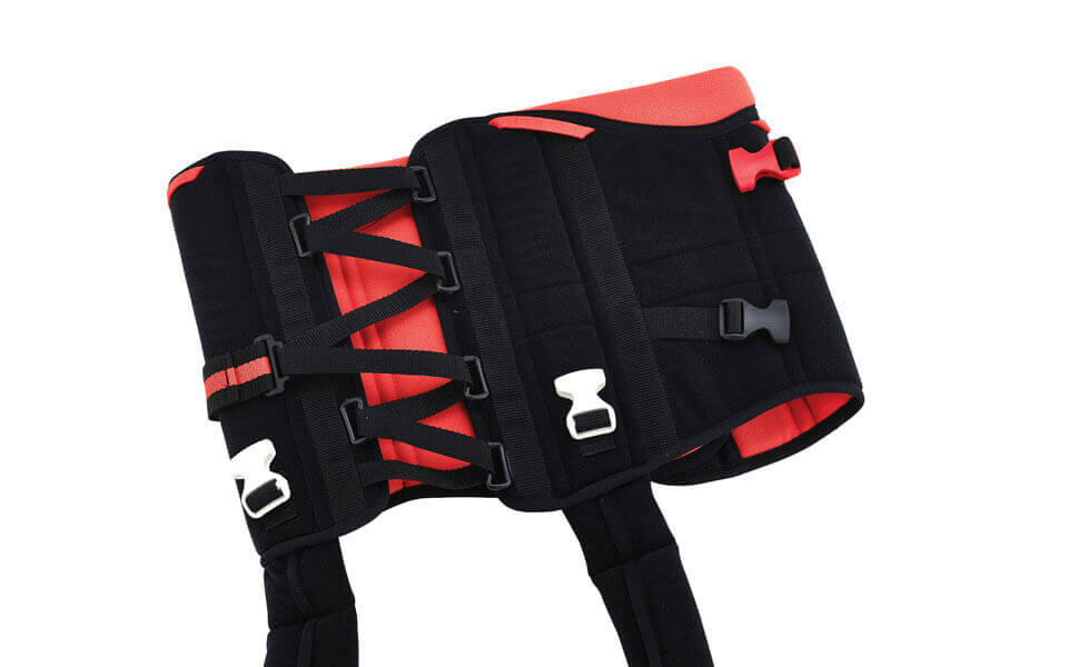 Innovative Harness with Straps